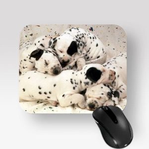 586-4387-DOGS-1.jpg